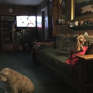 Meet your Posher, Sue